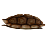 Tortoise Shell - LittleBigPlanet 3 (Prototypes)
