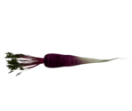 Purple Carrot - LittleBigPlanet 3 (Prototypes)