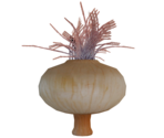 Onion - LittleBigPlanet 3 (Prototypes)