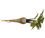 Parsnip - LittleBigPlanet 3 (Prototypes)