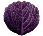 Purple Cabbage - LittleBigPlanet 3 (Prototypes)