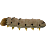 Slik Worm - LittleBigPlanet 3 (Prototypes)