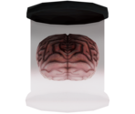 Plastic Pickled Brain - LittleBigPlanet 3 (Prototypes)