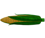 Plush Corn on the Cob - LittleBigPlanet 3 (Prototypes)