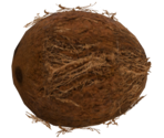 Coconut - LittleBigPlanet 3 (Prototypes)