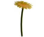 Dandelion Bloom - LittleBigPlanet 3 (Prototypes)