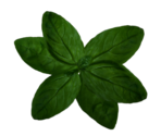 Basil Plant - LittleBigPlanet 3 (Prototypes)