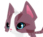 Domestic Shorthair Cat - Animal Jam: Play Wild!