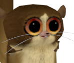 Mort - Madagascar