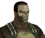 The Punisher (Grand Nixon Island) - The Punisher