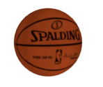 Basketball (2K10) - NBA 2K Series