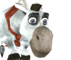 Rucio - Donkey Xote