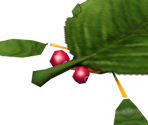 Skitter Leaf - Pikmin 2