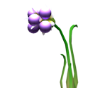Burgeoning Spiderwort - Pikmin 2