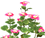 Figwort - Pikmin 2