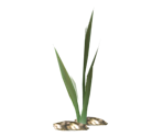 Weeds - Pikmin 2