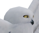 Hedwig - Harry Potter & The Chamber of Secrets