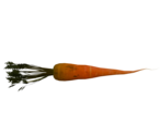 Carrot - LittleBigPlanet 3