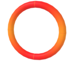 Coin Rings - Super Mario 3D World