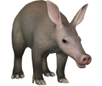 Aardvark - Planet Zoo