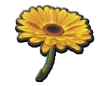 Flower Glider - Mario Kart 8