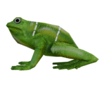 Plastic Frog Dissection - LittleBigPlanet 3 (Prototype)