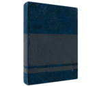 Bearded Book - LittleBigPlanet 3 (Prototype)