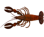 Crawfish - LittleBigPlanet 3 (Prototype)