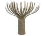 Fan Worm - LittleBigPlanet 3 (Prototype)
