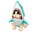 Shoulder Shark Cat - Roblox