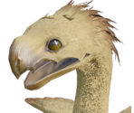 Company Chocobo - Final Fantasy 14: A Realm Reborn