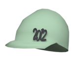 2012 Skater Beanie - Roblox