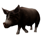 Pig - Goat Simulator