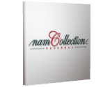Save Icon - NamCollection