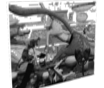 Photo (Cat Race) - Grim Fandango