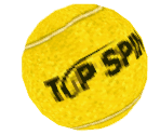 Save Icon - Top Spin