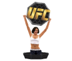 Save Icon - UFC: Sudden Impact