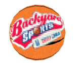 Save Icon - Backyard Sports: Basketball 2007
