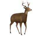 Save Icon (2002) - Cabela's Big Game Hunter (Series)