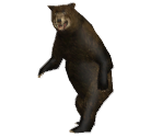 Save Icon (2007) - Cabela's Big Game Hunter (Series)