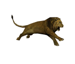 Save Icon (2009) - Cabela's Dangerous Hunts (Series)