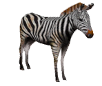 Save Icon - Cabela's African Safari