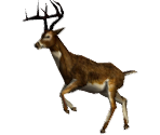 Save Icon - Cabela's Trophy Bucks