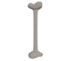 Bone - Rec Room