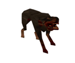 Dog - Quake