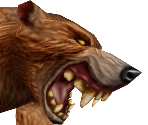Bear (Classic) - World of Warcraft