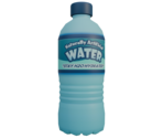 Water Bottle - Vacation Simulator