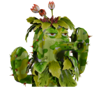 Camo Cactus - Plants vs. Zombies: Garden Warfare 2