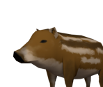 Boar Piglet - Okami HD