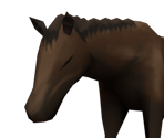 Horse - Okami HD